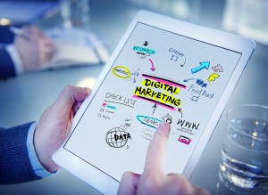 Digital-Marketing-Expert Digital-Marketing-Expert