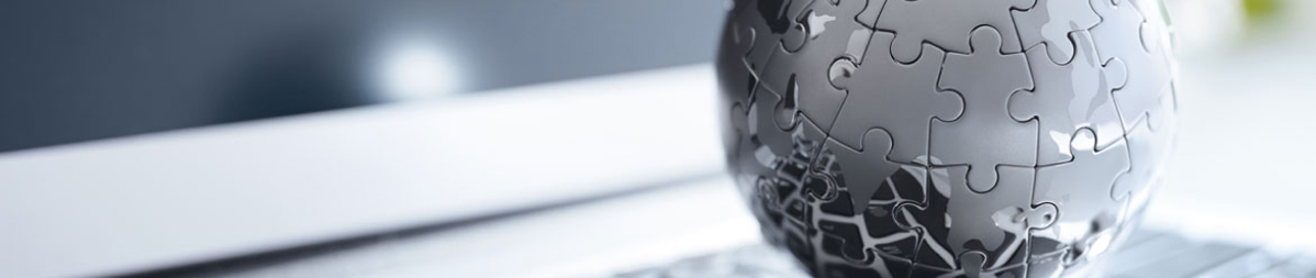 Our Microsoft Capabilities