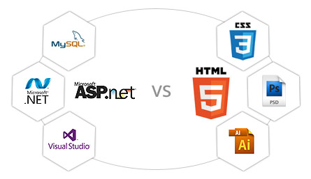 Web Development