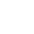 Custom Widget Development