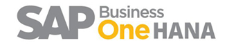 SAP Business One HANA